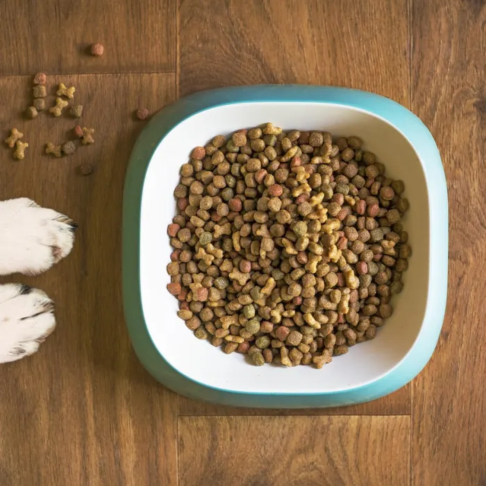 Yetişkin Köpek Maması 3 kg