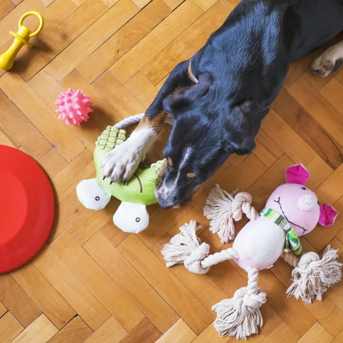 Dayanıklı Köpek Çiğneme Oyuncağı