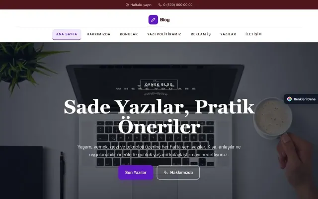 Blog Sitesi için Zigzag Bordo Mor – Blog Sitesi Web Sitesi ana sayfa görünümü