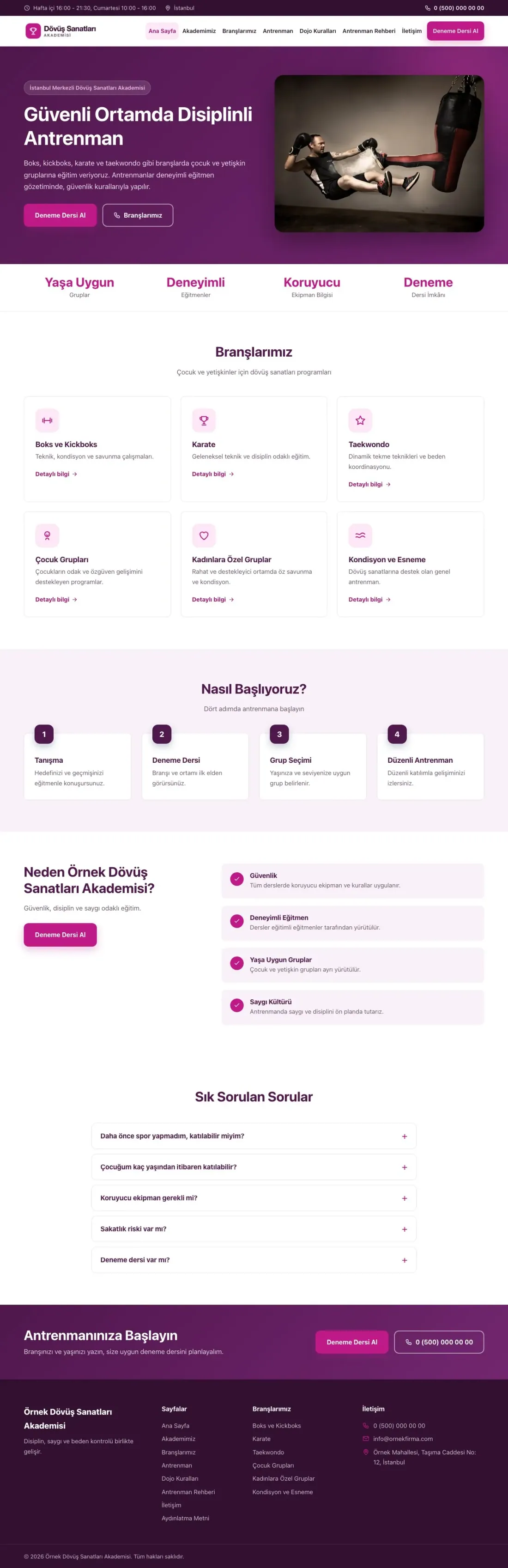 Klasik Erik Pembe – Dövüş Sanatları ve Spor Okulu Web Sitesi ana sayfa görünümü