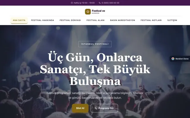 Festival ve Konser için Zigzag Mor Amber – Festival ve Konser Web Sitesi ana sayfa görünümü