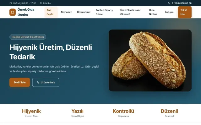 Gıda Üretimi için Klasik Mavi Turuncu – Gıda Üretimi Web Sitesi ana sayfa görünümü