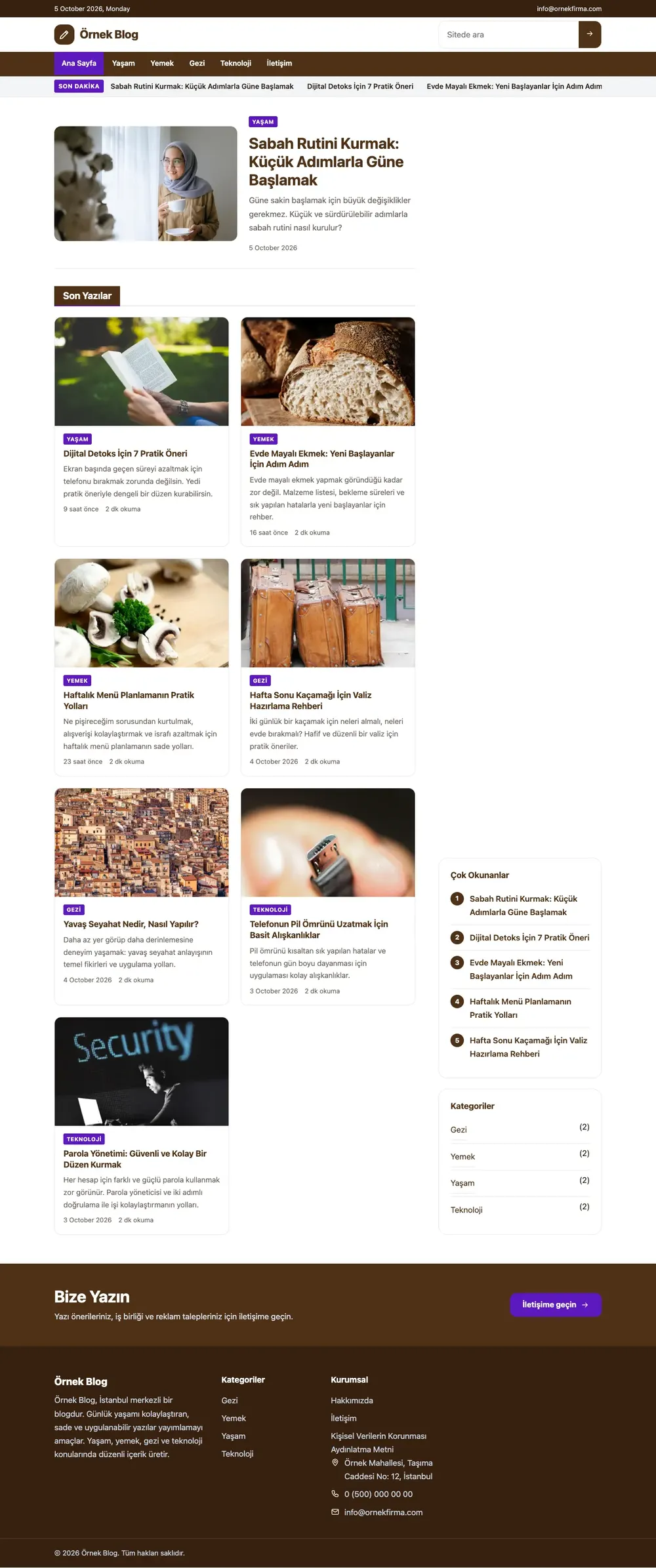 Blog Pro WordPress Teması ana sayfa önizlemesi