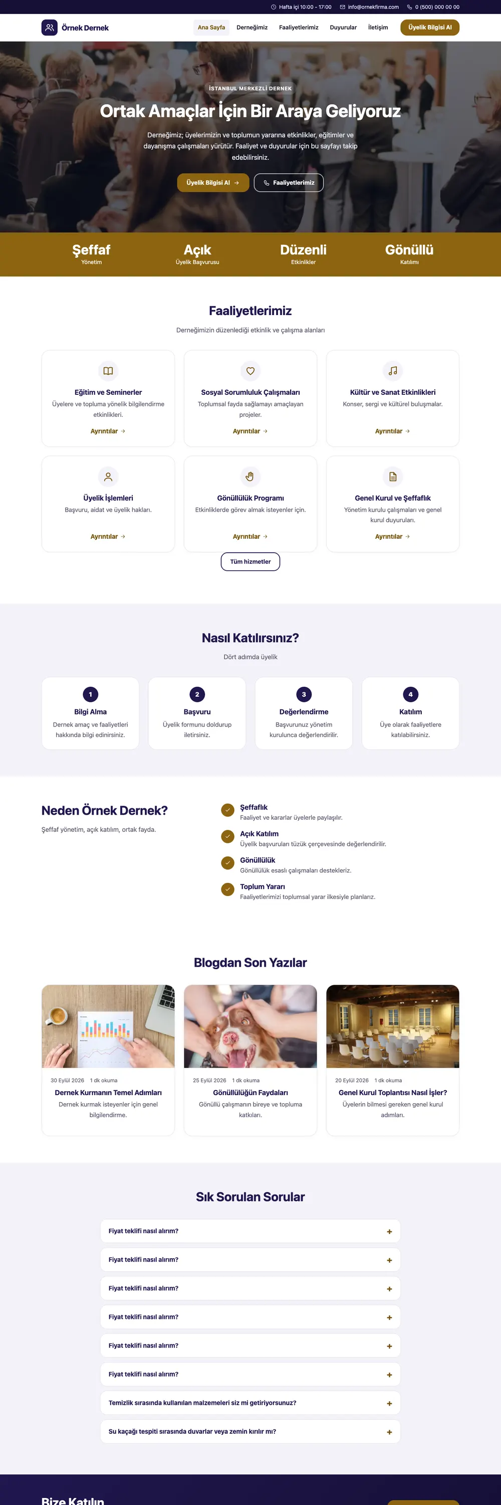 Dernek Pro WordPress Teması ana sayfa önizlemesi