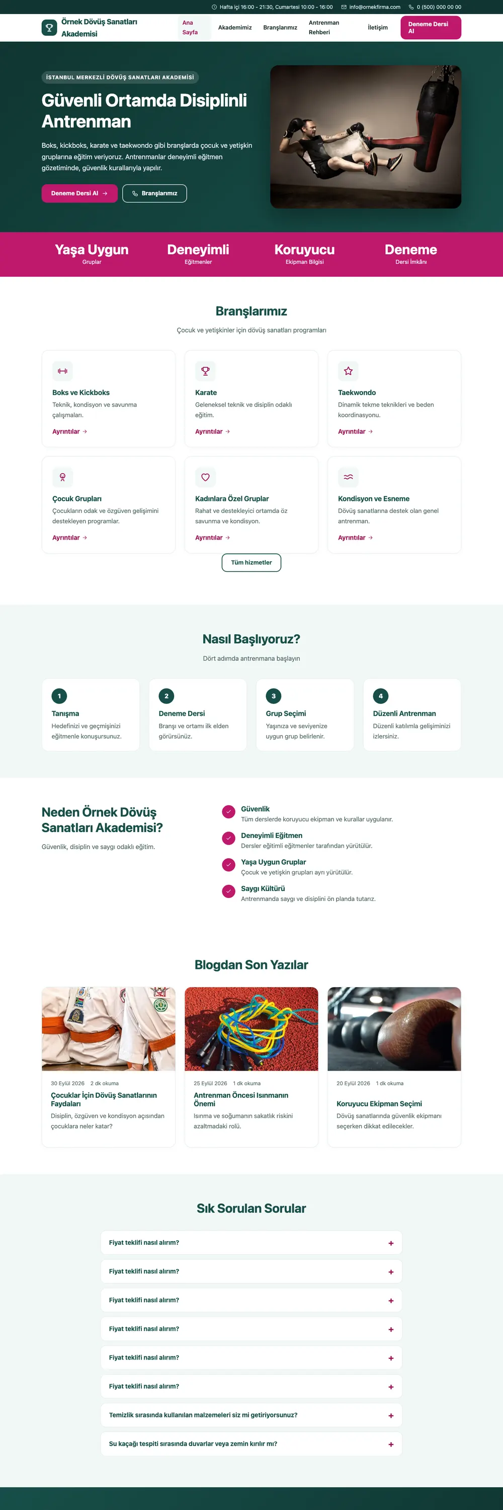 Dövüş Sanatları ve Spor Okulu Pro WordPress Teması
