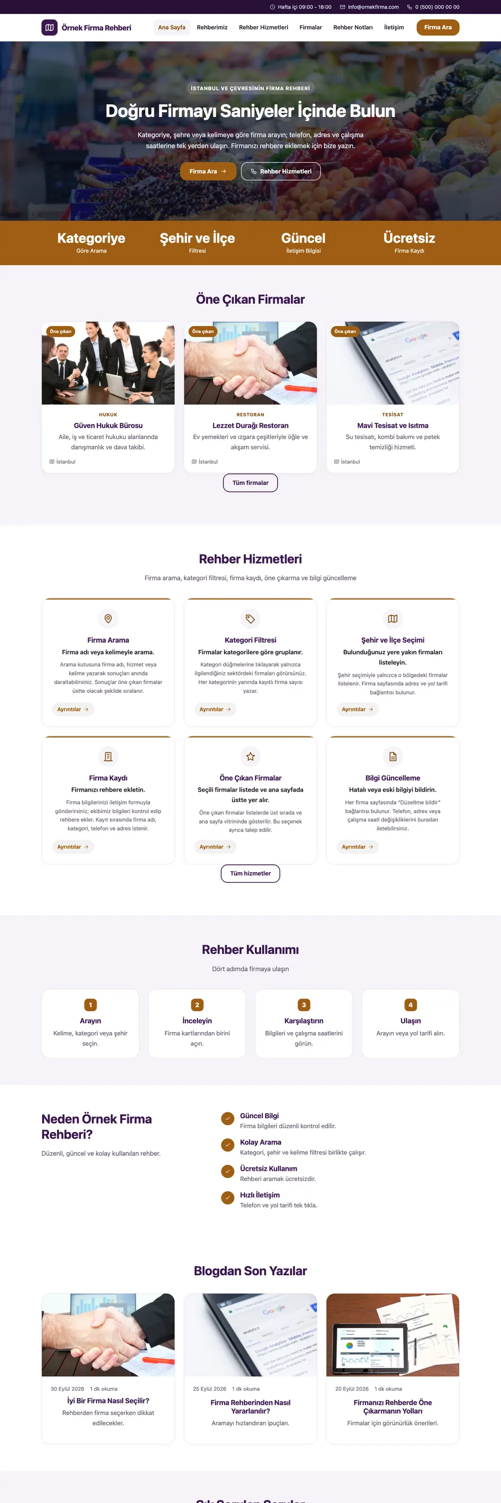 Firma Rehberi Pro WordPress Teması ana sayfa önizlemesi