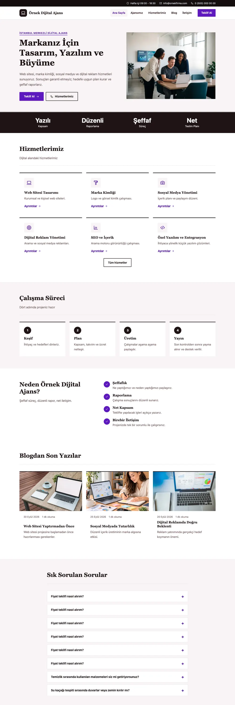 Freelancer ve Ajans Pro WordPress Teması ana sayfa önizlemesi