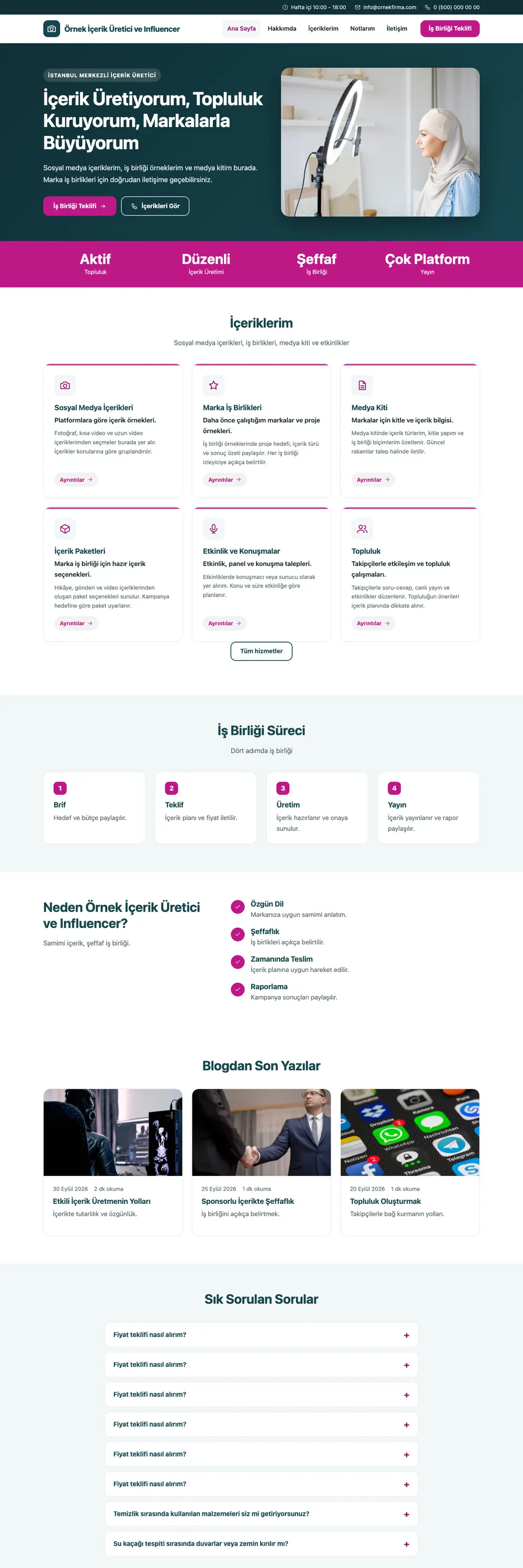 İçerik Üretici ve Influencer Pro WordPress Teması ana sayfa önizlemesi