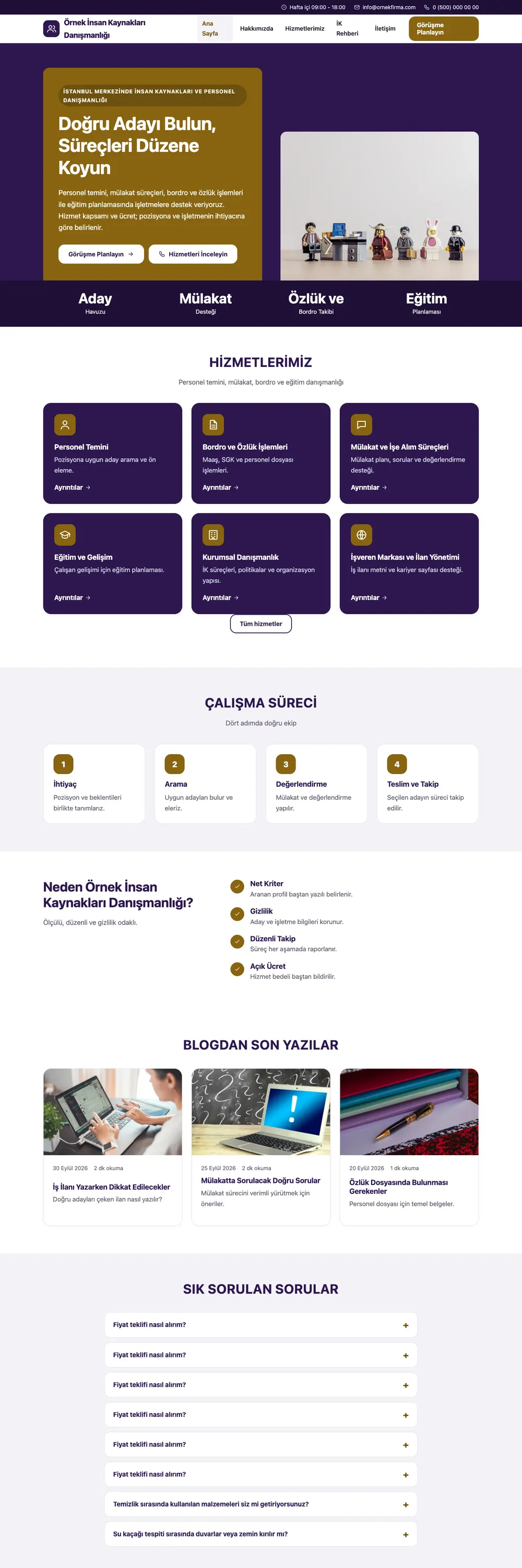İnsan Kaynakları ve Personel Danışmanlığı Pro WordPress Teması ana sayfa önizlemesi