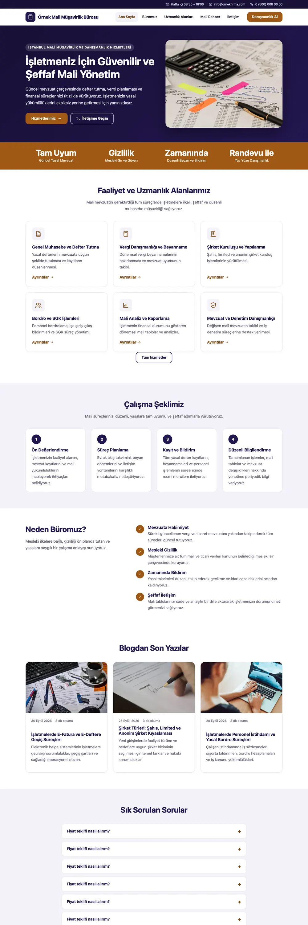 Mali Müşavir Pro WordPress Teması ana sayfa önizlemesi