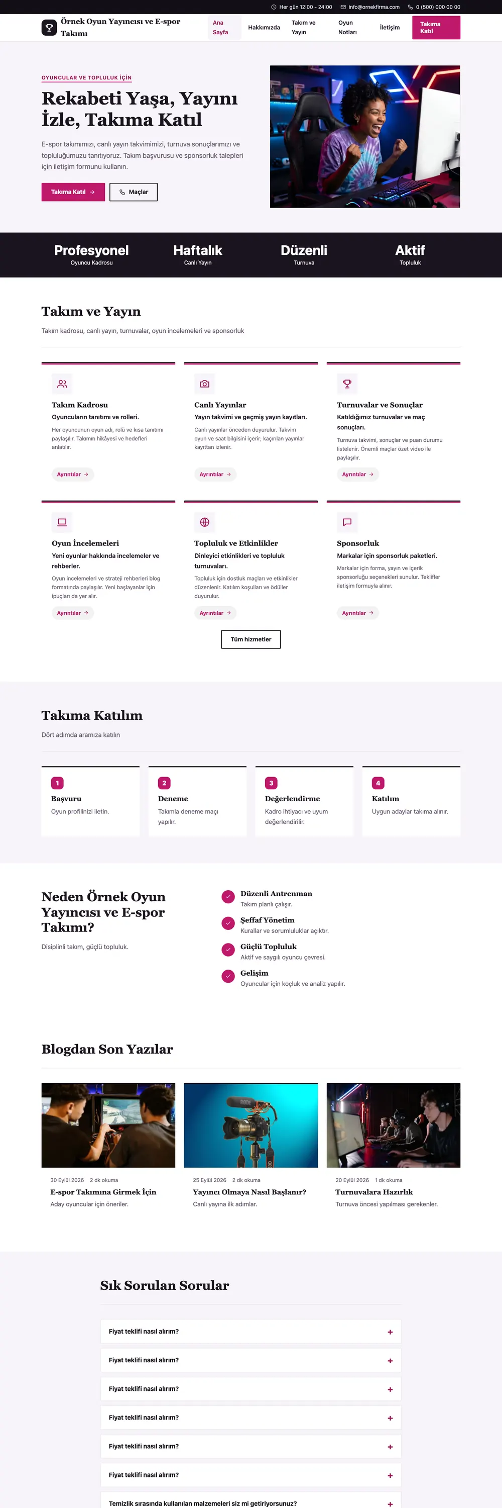 Oyun Yayıncısı ve E-spor Takımı Pro WordPress Teması