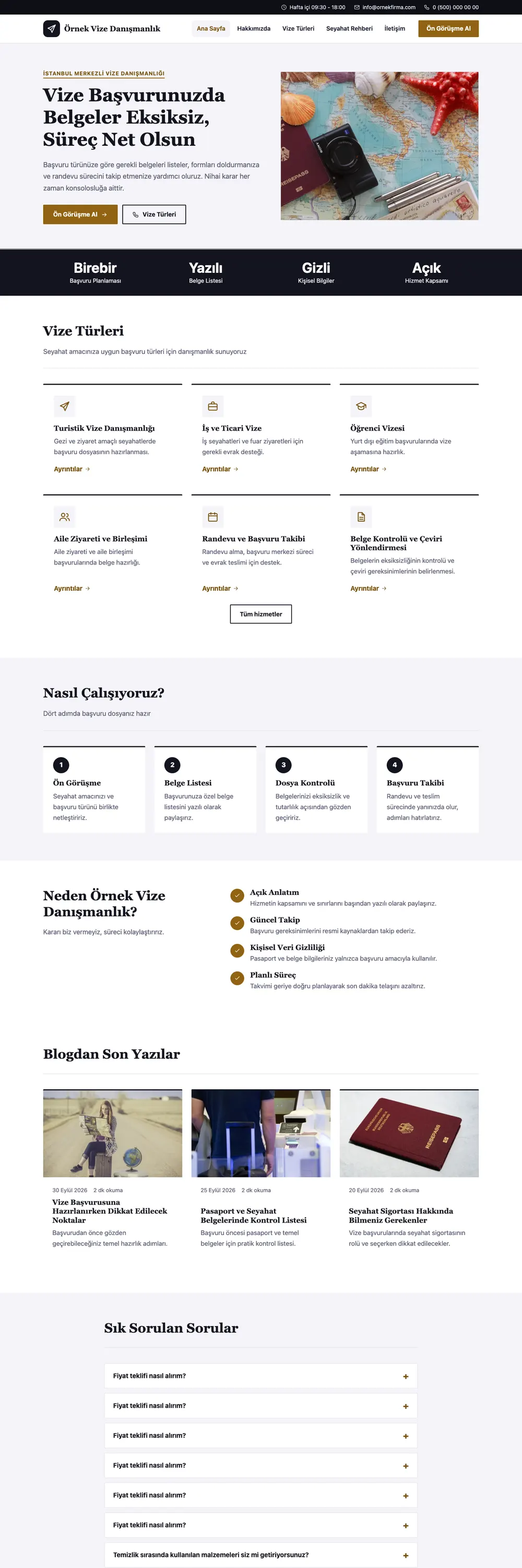 Vize Danışmanlığı Pro WordPress Teması ana sayfa önizlemesi