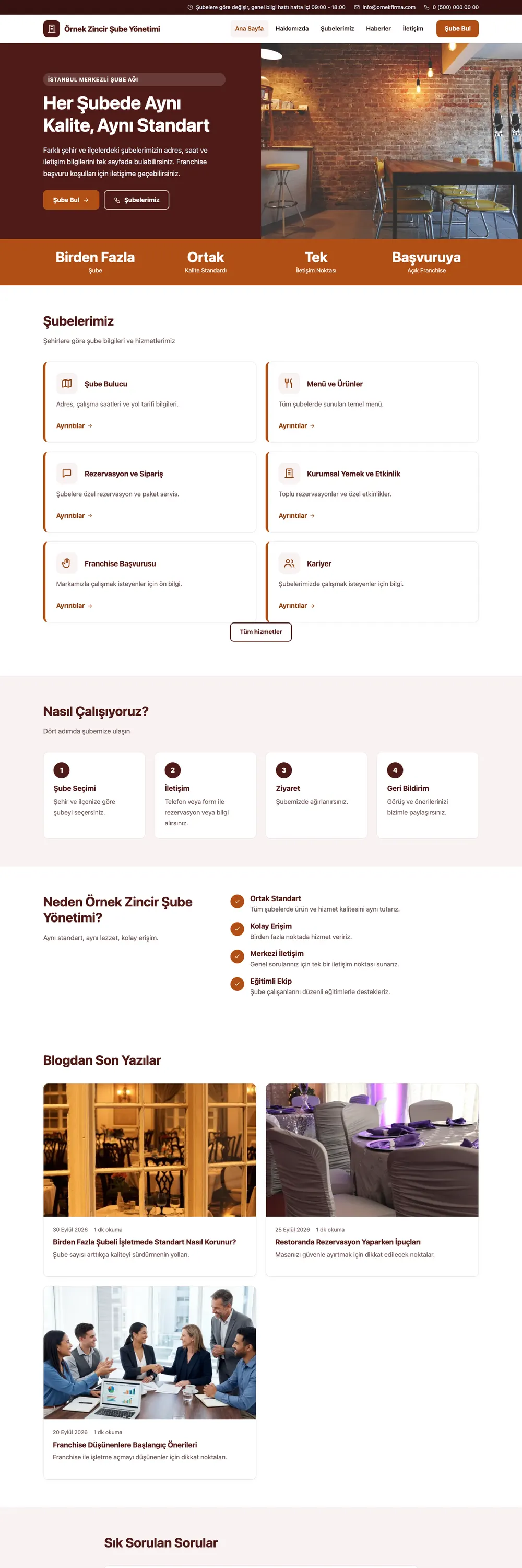 Zincir Şube Pro WordPress Teması ana sayfa önizlemesi