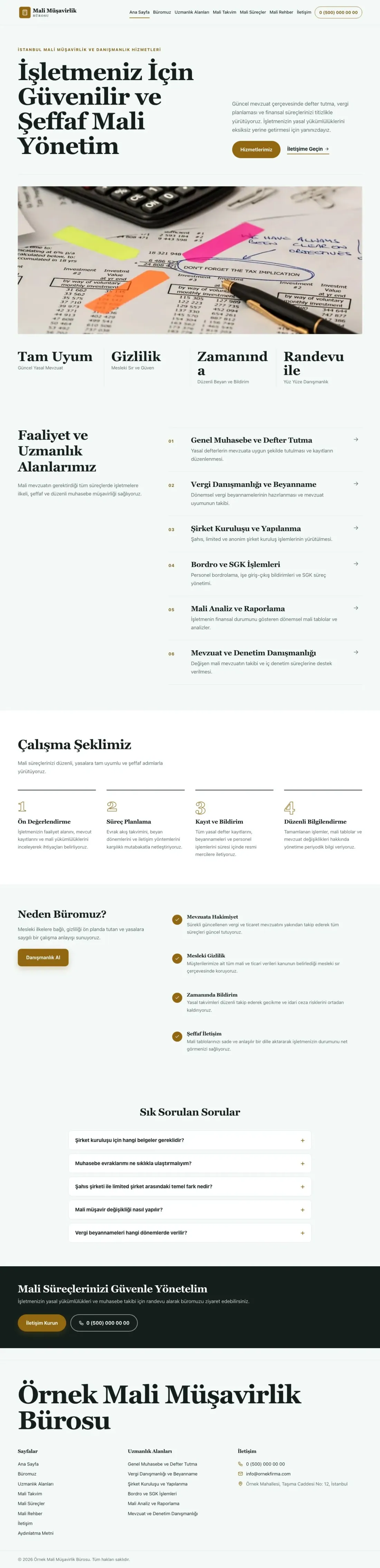 Editoryal Petrol Amber – Mali Müşavir Web Sitesi ana sayfa görünümü