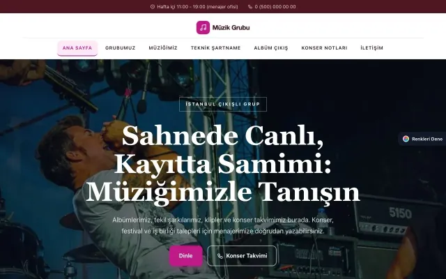 Müzik Grubu ve Albüm Tanıtımı için Zigzag Bordo Pembe – Müzik Grubu ve Albüm Tanıtımı Web Sitesi ana sayfa görünümü