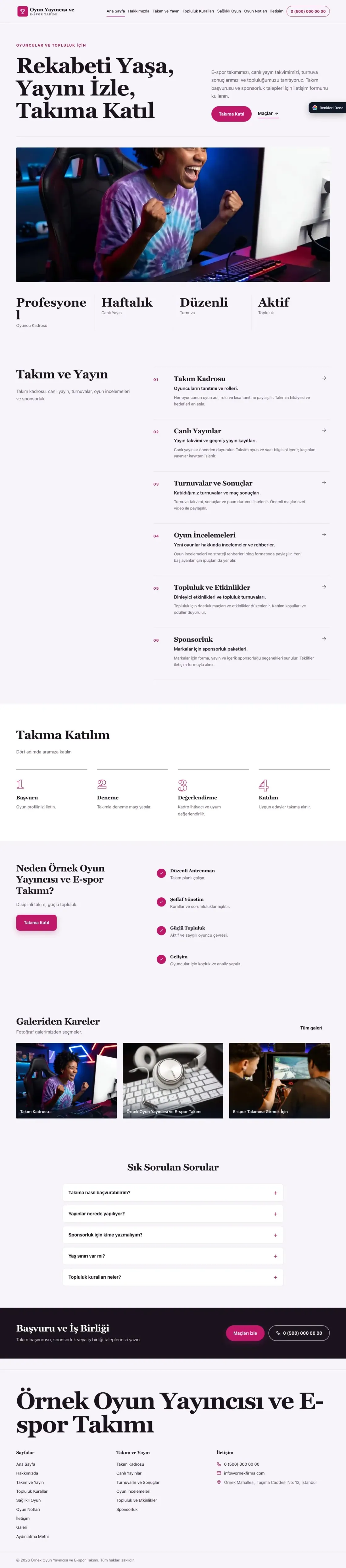 Oyun Yayıncısı ve E-spor Takımı için Dergi Editoryal Mor Pembe – Oyun Yayıncısı ve E-spor Takımı Web Sitesi ana sayfa görünümü