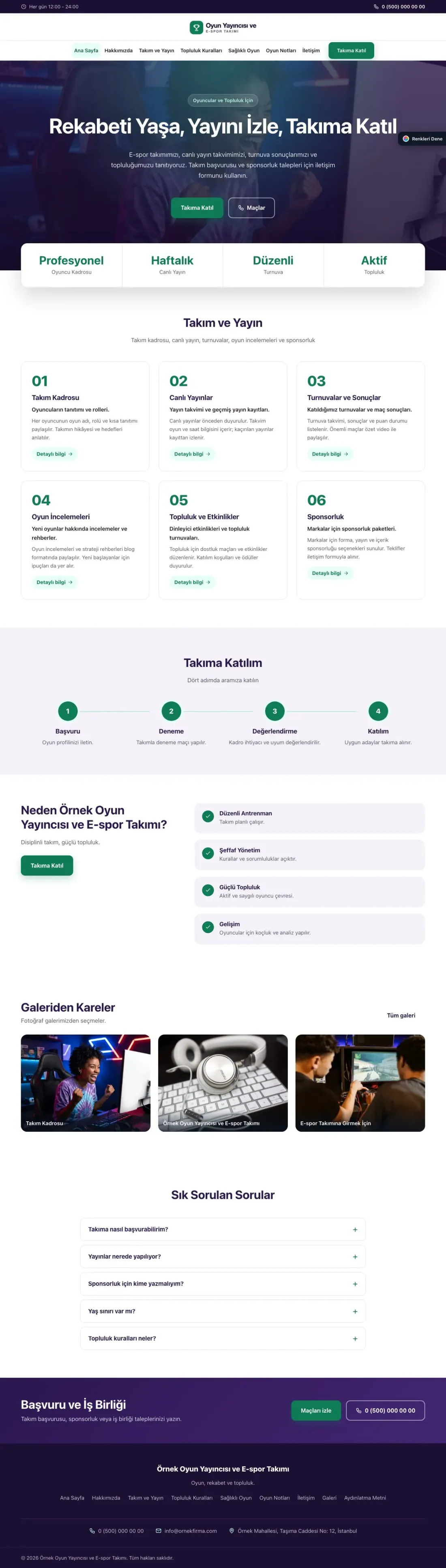 Oyun Yayıncısı ve E-spor Takımı için Merkez Mor Turkuaz – Oyun Yayıncısı ve E-spor Takımı Web Sitesi ana sayfa görünümü
