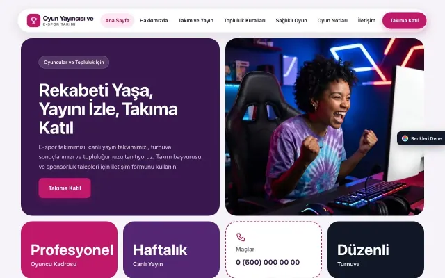 Oyun Yayıncısı ve E-spor Takımı için Mozaik Mor Pembe – Oyun Yayıncısı ve E-spor Takımı Web Sitesi ana sayfa görünümü