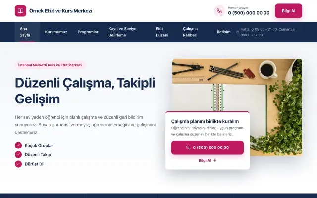 Özel Kurs ve Dershane için Bölünmüş Mavi Pembe – Özel Kurs ve Dershane Web Sitesi ana sayfa görünümü