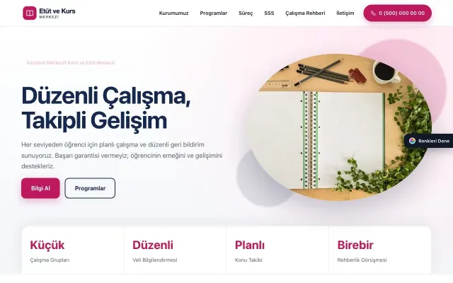 Özel Kurs ve Dershane için Tek Sayfa Mavi Pembe – Özel Kurs ve Dershane Web Sitesi ana sayfa görünümü