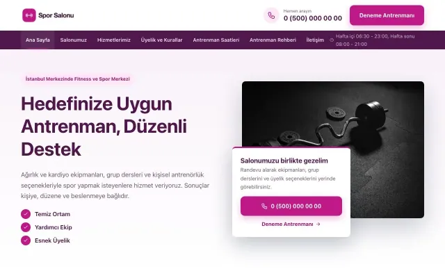 Bölünmüş Erik Pembe – Spor Salonu Web Sitesi ana sayfa görünümü