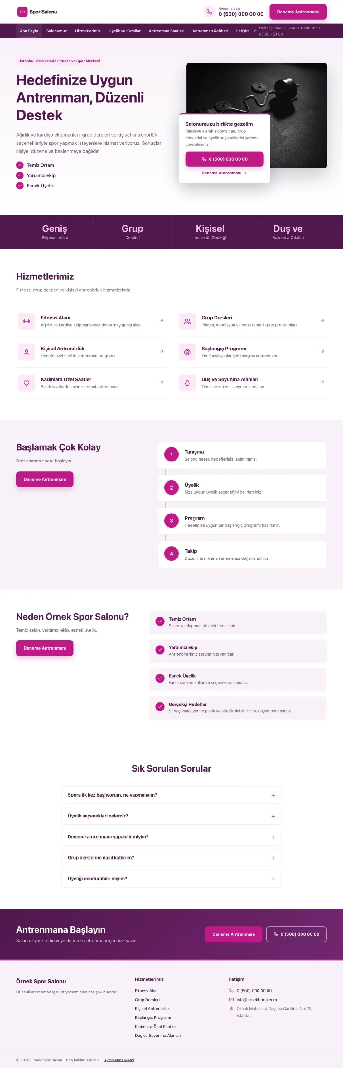 Bölünmüş Erik Pembe – Spor Salonu Web Sitesi ana sayfa görünümü