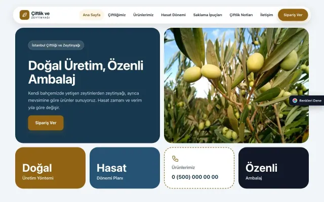 Tarım ve Zeytinyağı için Mozaik Mavi Turuncu – Tarım ve Zeytinyağı Web Sitesi ana sayfa görünümü