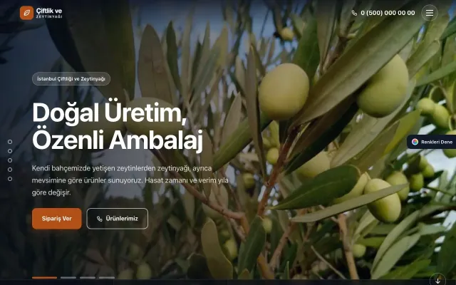 Tarım ve Zeytinyağı için Tam Ekran Mavi Turuncu – Tarım ve Zeytinyağı Web Sitesi ana sayfa görünümü
