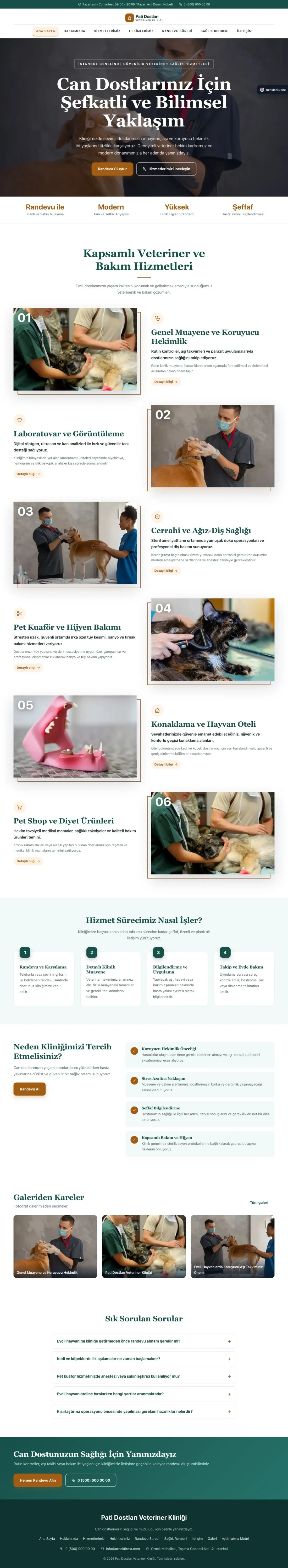 Veteriner için Zigzag Petrol Turuncu – Veteriner Web Sitesi ana sayfa görünümü