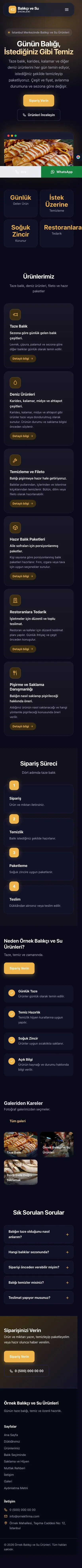 Koyu Modern Lacivert Turuncu – Balıkçı ve Su Ürünleri Web Sitesi mobil görünümü