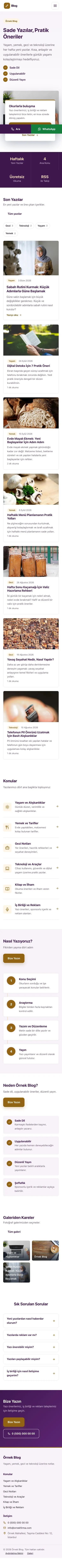 Bölünmüş Mor Turuncu – Blog Sitesi Web Sitesi mobil görünümü