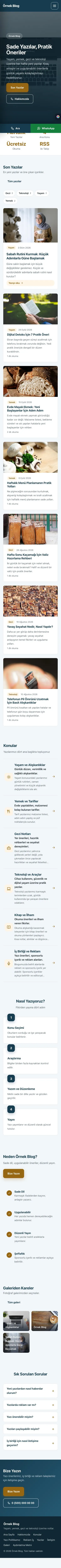 Sol Menü Mavi Turuncu – Blog Sitesi Web Sitesi mobil görünümü