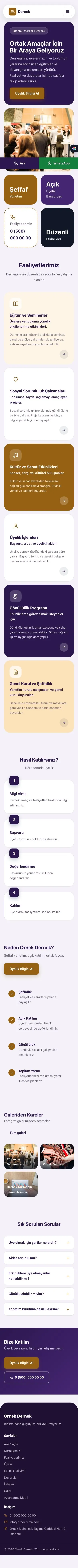 Mozaik Mor Turuncu – Dernek Web Sitesi mobil görünümü