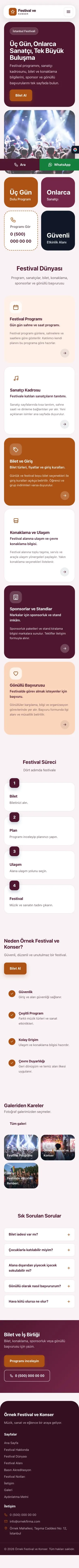 Mozaik Erik Turuncu – Festival ve Konser Web Sitesi mobil görünümü