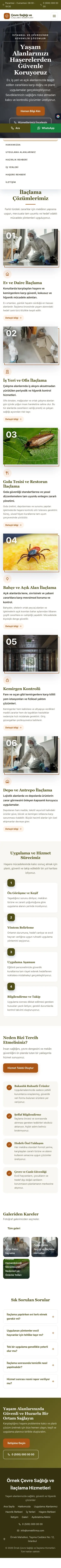 Zigzag Zeytin Turuncu – Haşere İlaçlama Web Sitesi mobil görünümü
