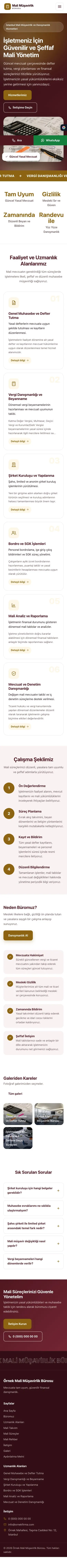 Hareketli Bordo Amber – Mali Müşavir Web Sitesi mobil görünümü
