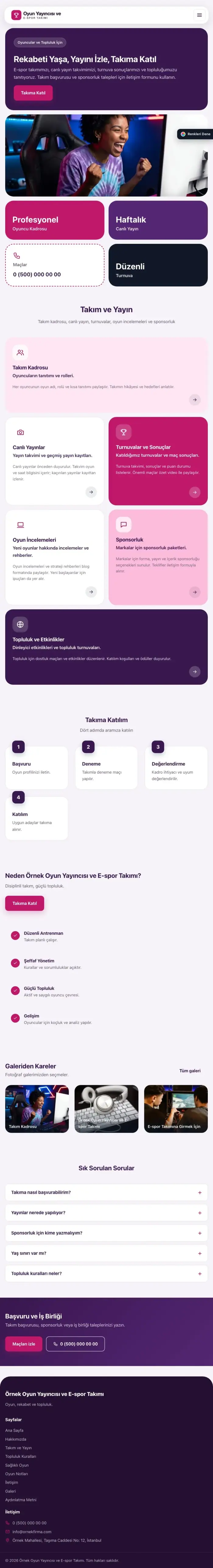 Mozaik Mor Pembe – Oyun Yayıncısı ve E-spor Takımı Web Sitesi tablet görünümü